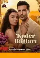 Узы судьбы смотреть онлайн сериал 1 сезон