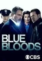 Голубая кровь смотреть онлайн сериал 1-13 сезон