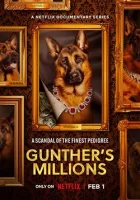 Миллионы Гюнтера смотреть онлайн сериал 1 сезон