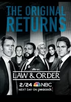 Закон и порядок смотреть онлайн сериал 1-20 сезон