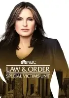 Закон и порядок. Специальный корпус смотреть онлайн сериал 1-24 сезон