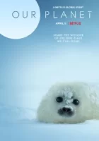 Наша планета смотреть онлайн тв шоу 1-2 сезон