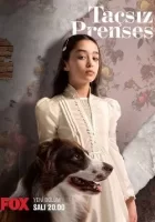 Принцесса без короны смотреть онлайн сериал 1 сезон