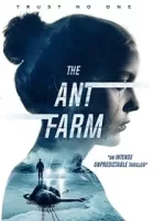 Муравьиная ферма смотреть онлайн (2022)