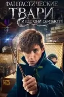 Фантастические твари и где они обитают смотреть онлайн (2016)