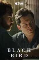 Чёрная птица смотреть онлайн сериал 1 сезон