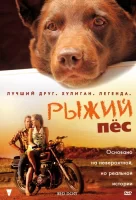 Рыжий пес смотреть онлайн (2011)