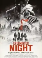 Ночь вечной зимы смотреть онлайн (2023)