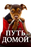 Путь домой смотреть онлайн (2019)